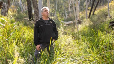 Researcher, David Lindenmayer, stands in a grassy opening of a bushland scene with trees in the background. He looks out and up to the right.