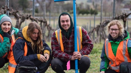 Four students squat in front of winery vines in high visibility vests holding shovels and smiling at the camera.