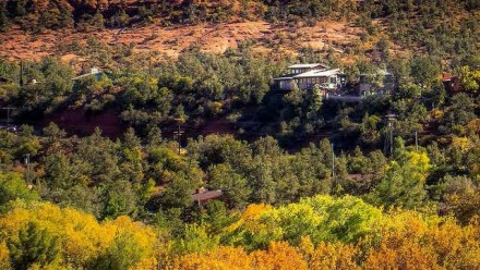Homes overlook a forest in the wildland-urban interface in Arizona. Marius von Essen