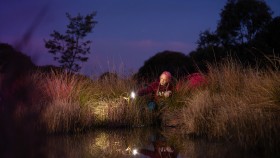 PhD student, Michelle Littlefair, crouches near the edge of a dam at night pointing her spotlight into the reeds.