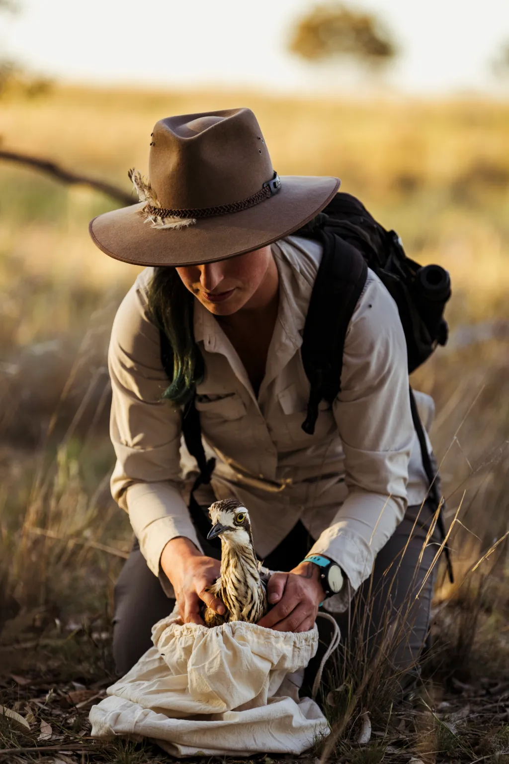 Sho, wearing a brown hat, light long-sleeve shirt, and backpack is kneeling in a grassy field at sunset. They are gently holding a bush stone-curlew—a long-legged bird with striking yellow eyes and striped plumage—partially nestled in a white cloth bag. The setting is open dry grassland, softly lit by warm evening light.