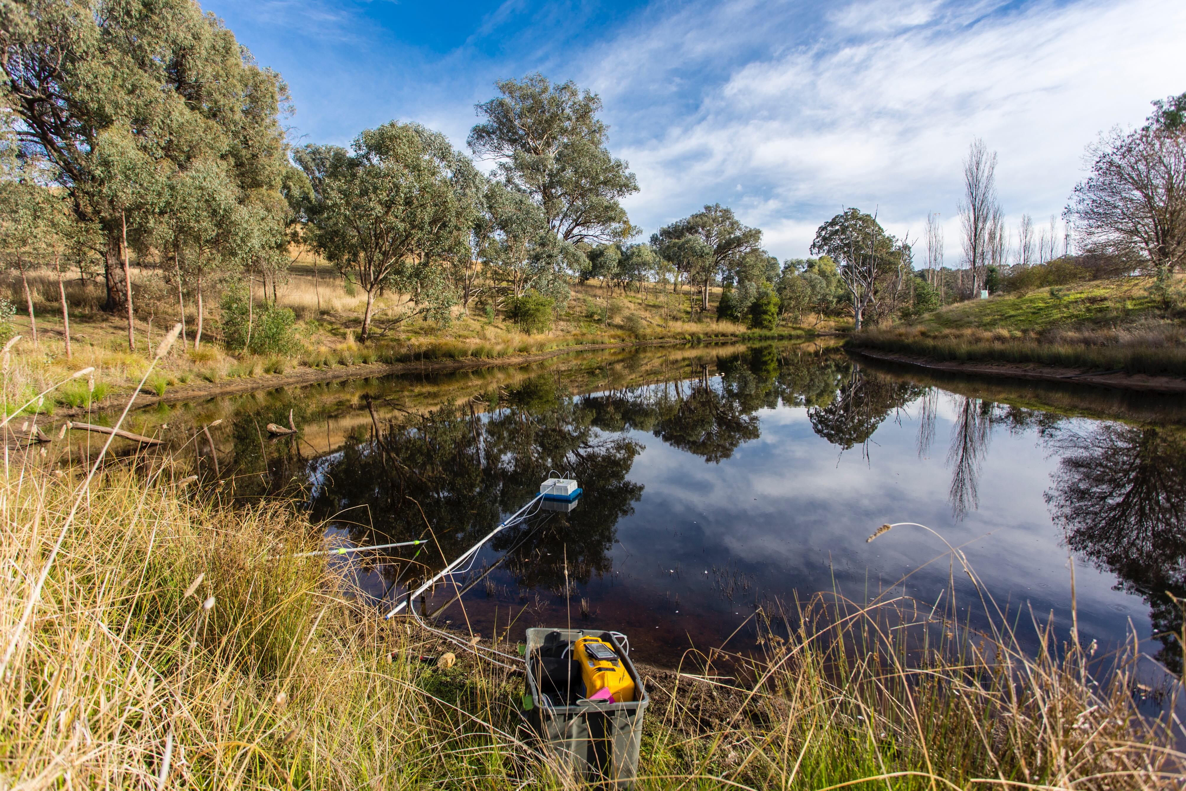 A serene rural dam with still, dark water reflecting a blue sky and scattered white clouds. The bank in the foreground is edged with dry grasses and reeds, and contains a plastic crate holding a yellow portable pump hooked up by hoses to a floating sampling device resting on the water. On the opposite shore, gently sloping pasture is dotted with eucalyptus and other native trees under a partly cloudy sky