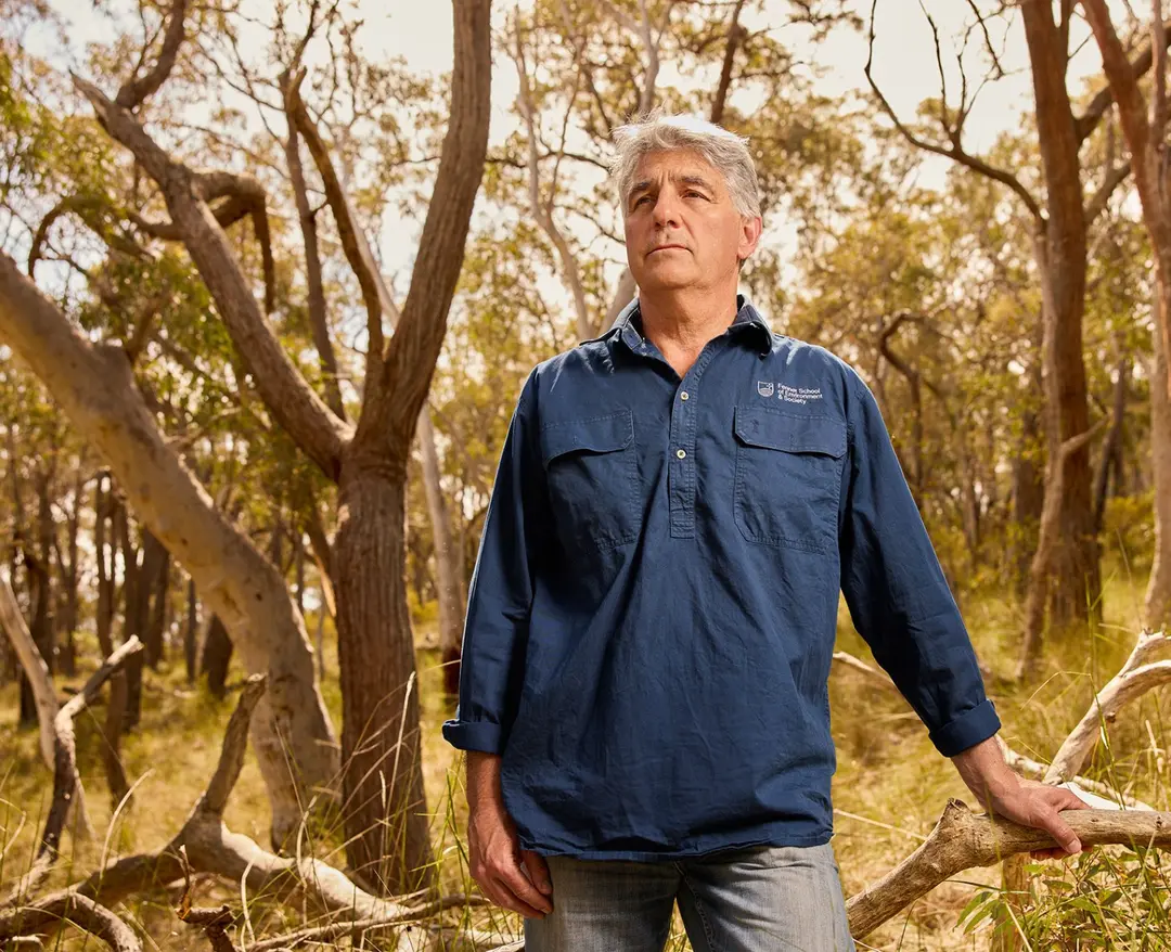 Researcher David Lindemayer stands in a forest.