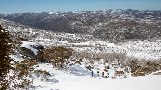 Four hikers trek across a snow-covered landscape with distant mountain ranges in the background.