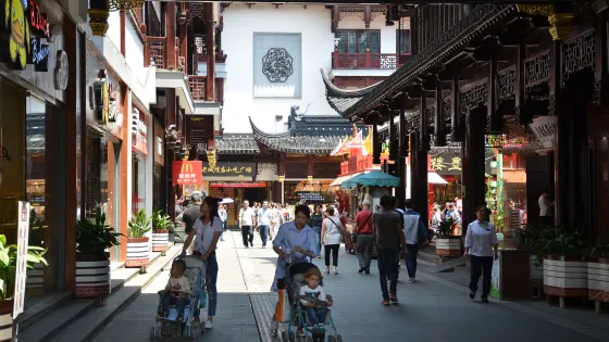 People walking through a bustling traditional Chinese street market with modern storefronts, including a McDonald's.