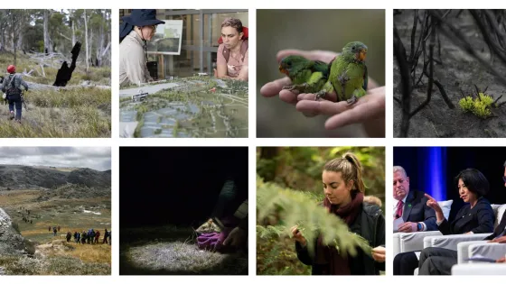 A collage of diverse scenes including outdoor exploration, wildlife, and a panel discussion.