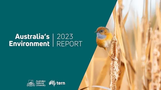Banner for "Australia's 2023 Environment Report" with a bird perched on a branch, presented by Australian National University and TERN.