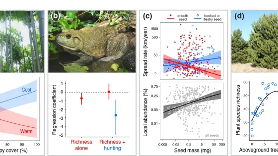 A collage image containing various panels: (a) bamboo forest, (b) large frog on a rock near water, (c) multiple graphs related to seed spread and biomass, (d) a shrubby area with evergreen trees, and additional graphs showing ecological data such as canopy cover, species richness, and seed mass relationship to abundance.