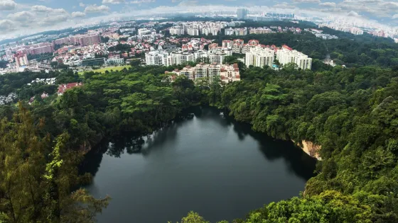 Aerial view of a lush, green cityscape surrounding a secluded lake nestled within thick forest foliage.
