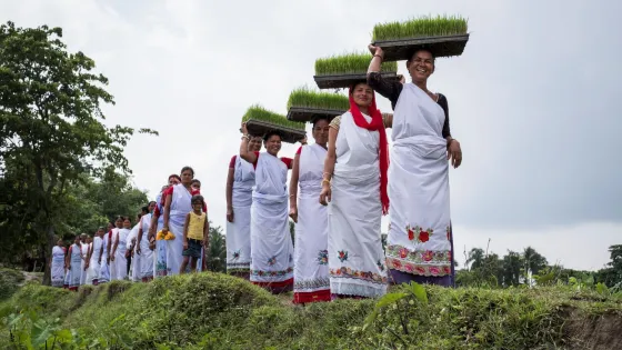 A group of people in traditional white and red garments, smiling as they carry trays of young rice plants on their heads in a lush green outdoor setting.