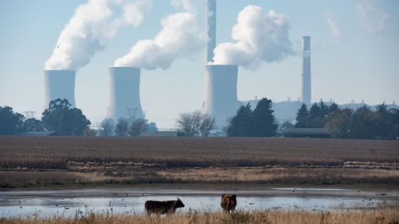 Two cows graze in a field with a background of large industrial cooling towers emitting steam.