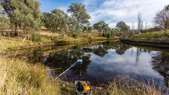 A serene rural dam with still, dark water reflecting a blue sky and scattered white clouds. The bank in the foreground is edged with dry grasses and reeds, and contains a plastic crate holding a yellow portable pump hooked up by hoses to a floating sampling device resting on the water. On the opposite shore, gently sloping pasture is dotted with eucalyptus and other native trees under a partly cloudy sky