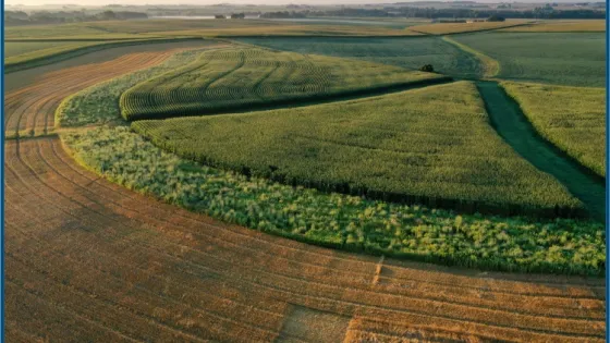 Aerial view of diverse crop fields with curving and straight patterns in early morning light.