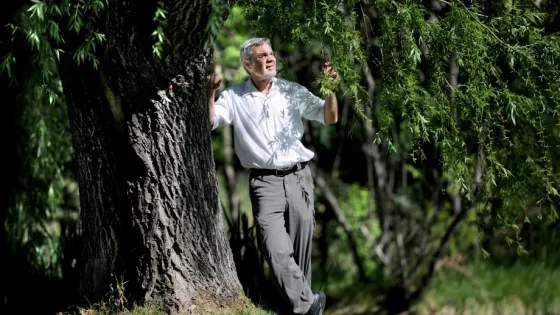 A man in a shirt and trousers is walking cheerfully near a tree and some hanging willow branches in a sunny forest setting.