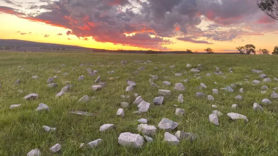 Sunset casting orange and pink hues in the sky over a field scattered with rocks.