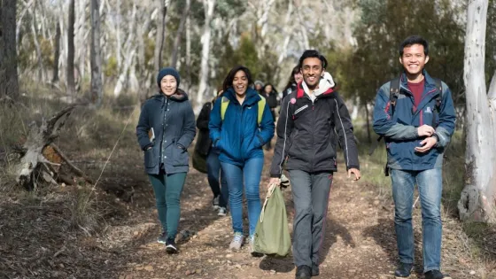 Four friends are joyfully hiking together through a forested trail.