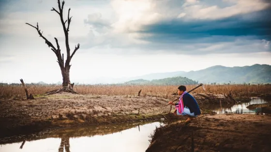 A person in traditional attire sits near a dead tree in a barren landscape with mountains in the background.