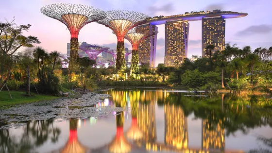Evening view of Supertree Grove and Marina Bay Sands in Singapore lit up, reflecting in a serene water body surrounded by lush greenery.