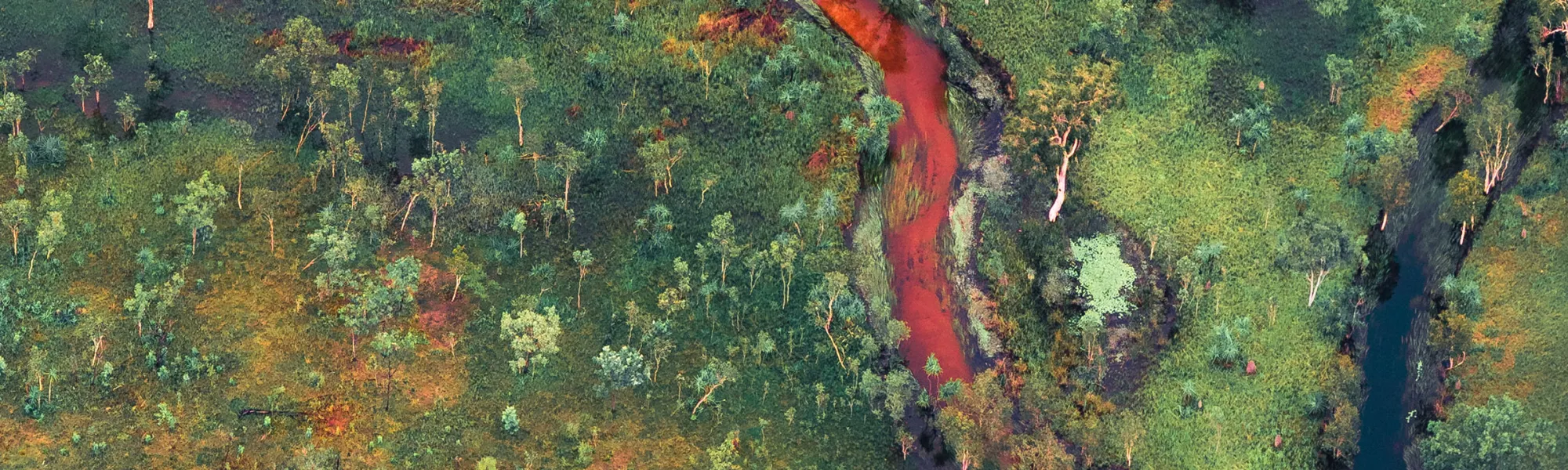 An aerial view of a lush green floodplain with a orange-red glowing creek running through the centre.