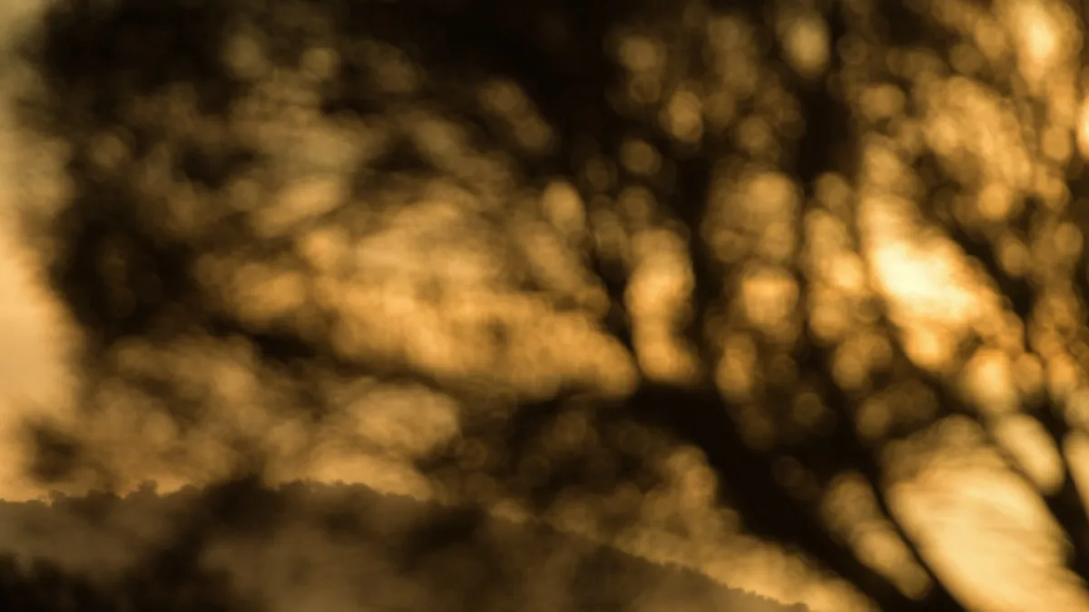 Back Mountain tower with trees in the foreground at sunset.