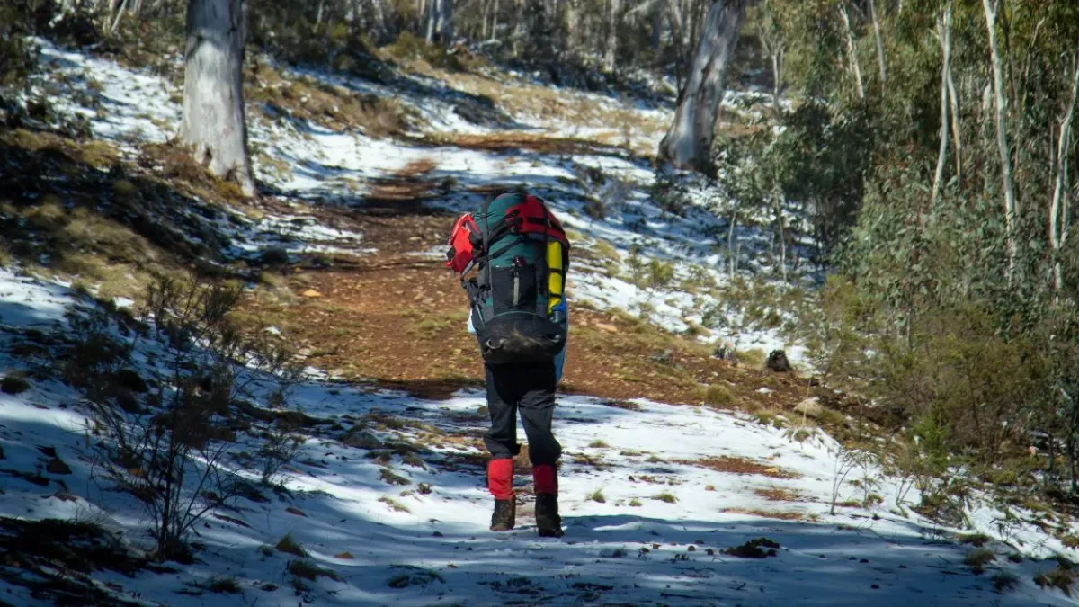 Walking along a snowy road.