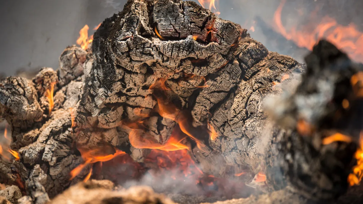 A log burning.