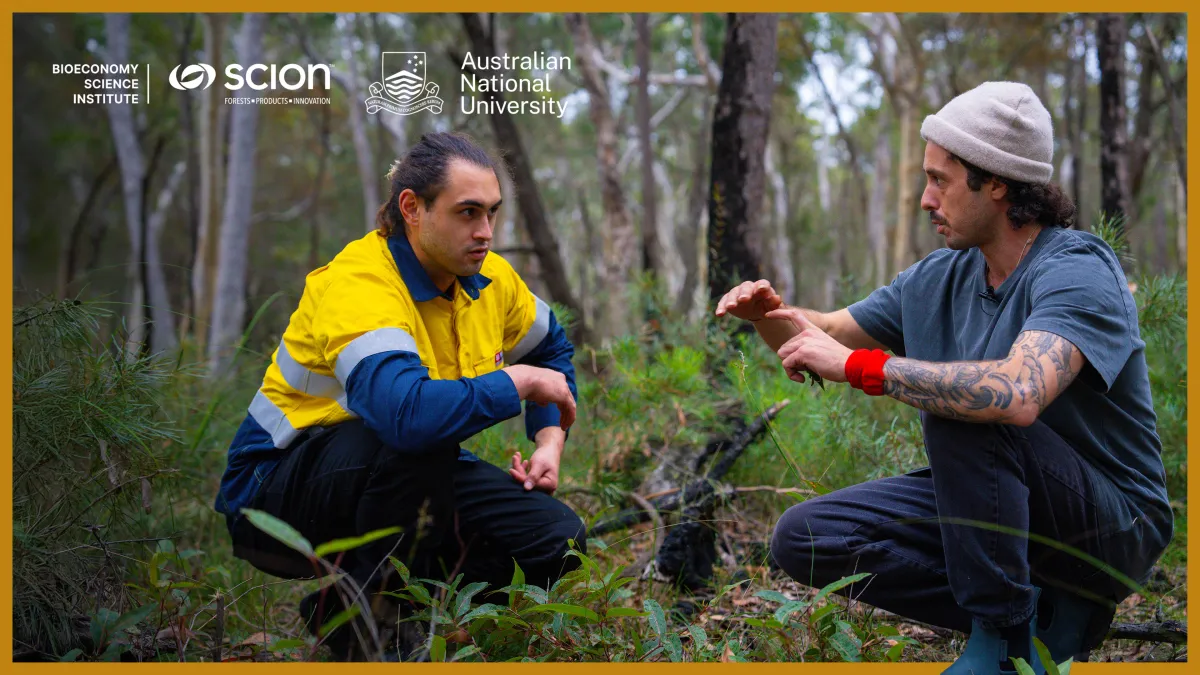Preview image for the video "Developing fuel moisture sensing satellites for fire management with indigenous knowledge".