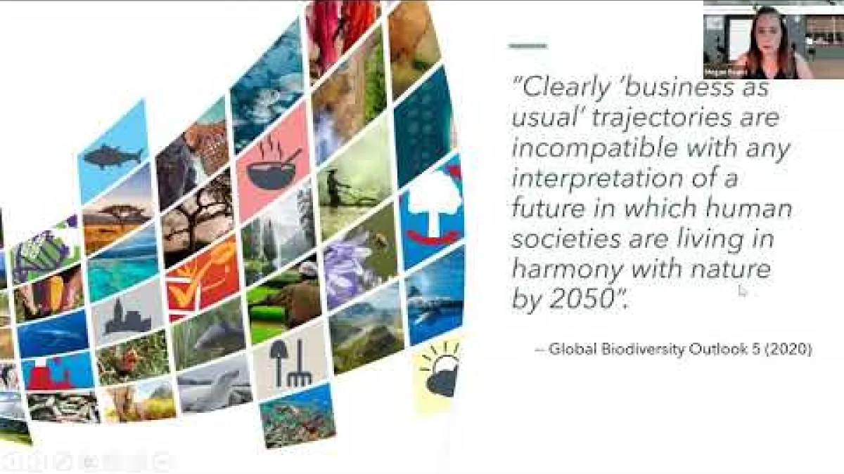 Preview image for the video "Seminar - Why ignoring biodiversity loss is an increasingly risky business".