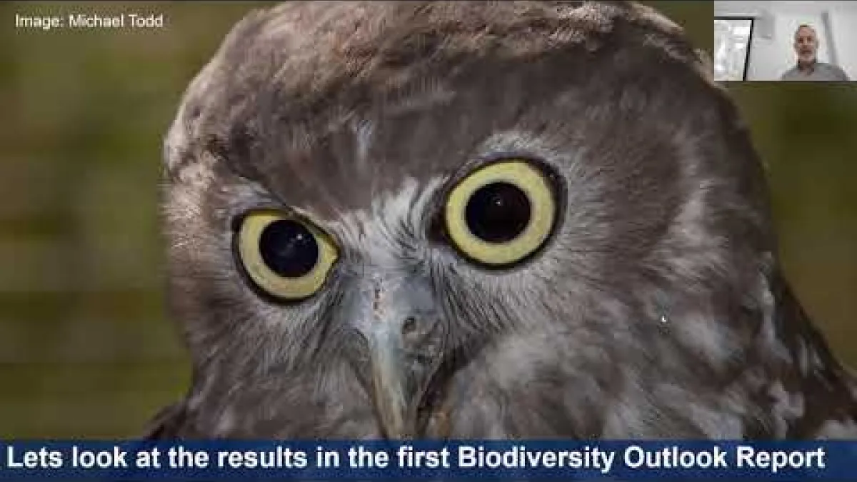 Preview image for the video "The Biodiversity Outlook Report: Trends in biodiversity and ecological integrity across NSW".