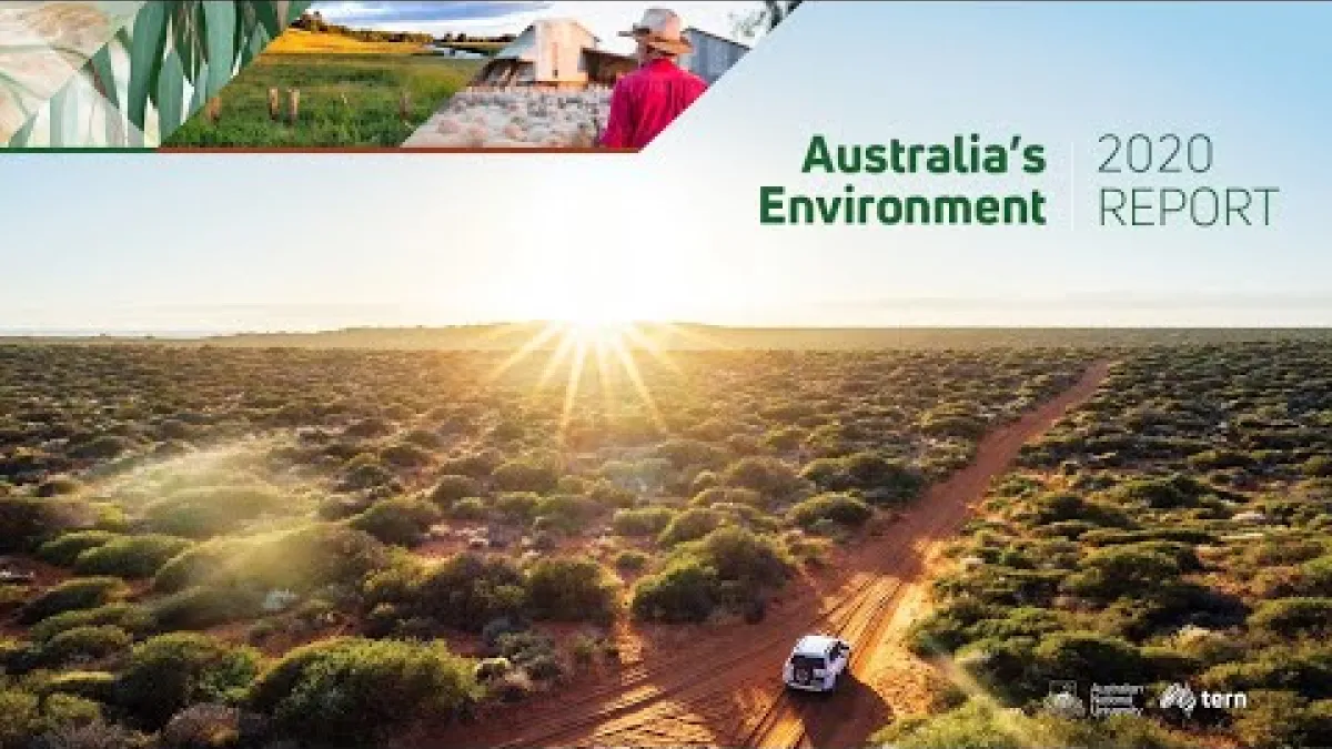 Preview image for the video "Australia's Environment 2020 - webinar".