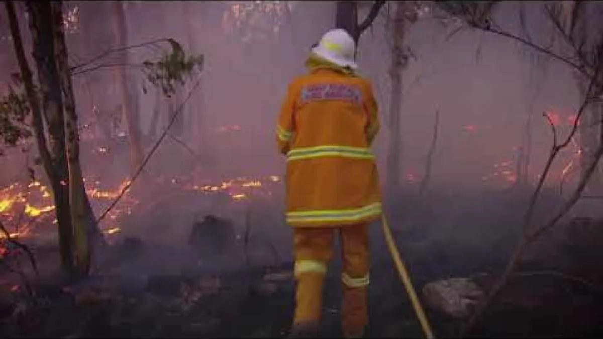 Preview image for the video "Course - Fire in the Environment".