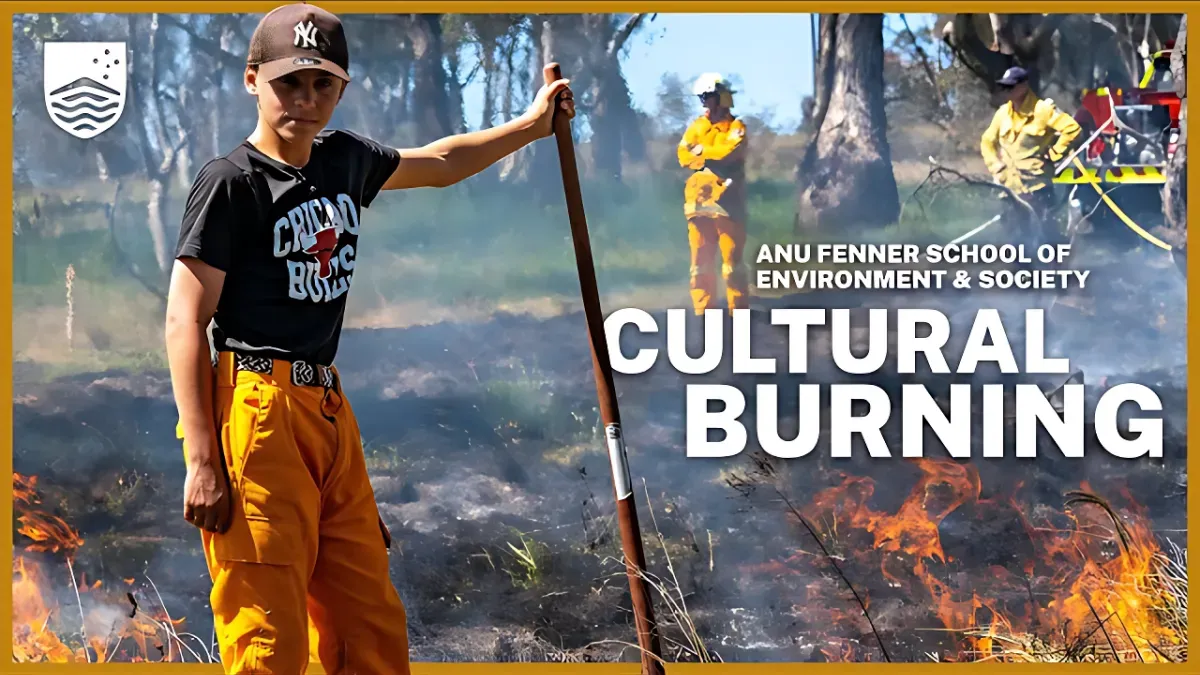 A boy stands in front of a box-gum grassy woodland area that is gently burning.