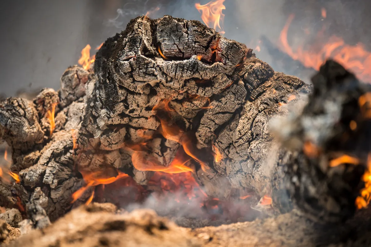 A close up of a log burning.