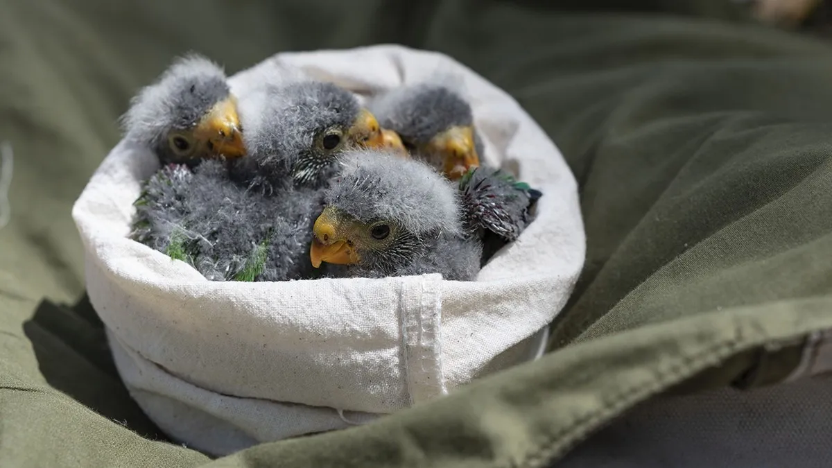 DSC_5798_12000