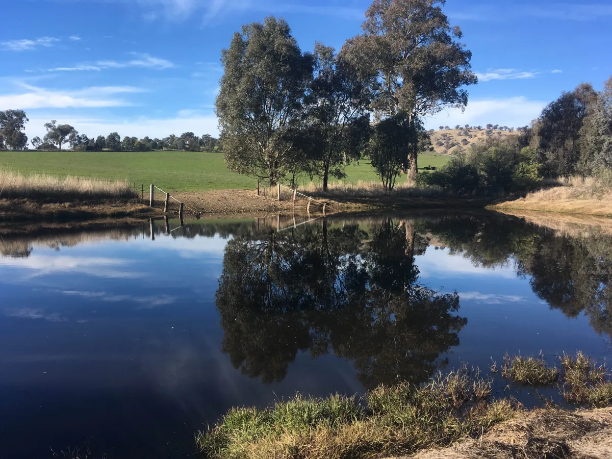 Image of a sustainable farm dam.