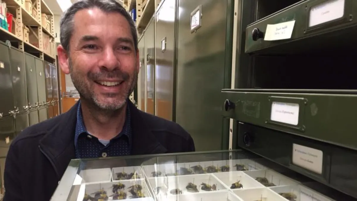 photo of Professor Saul Cunningham