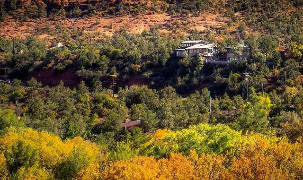Homes overlook a forest in the wildland-urban interface in Arizona. Marius von Essen