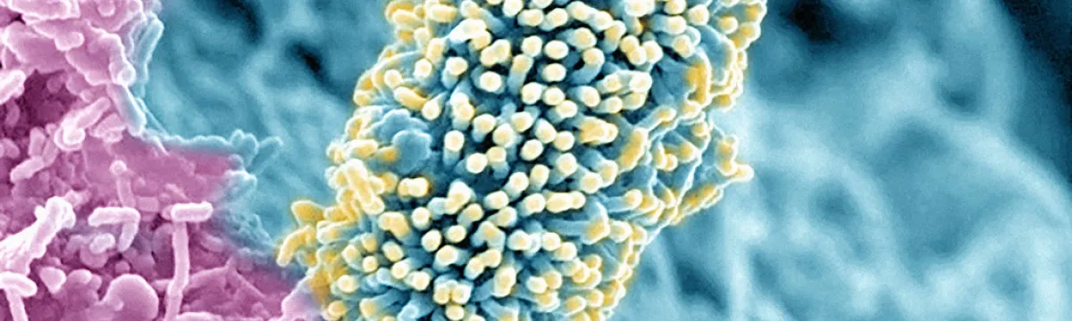 a microbe
