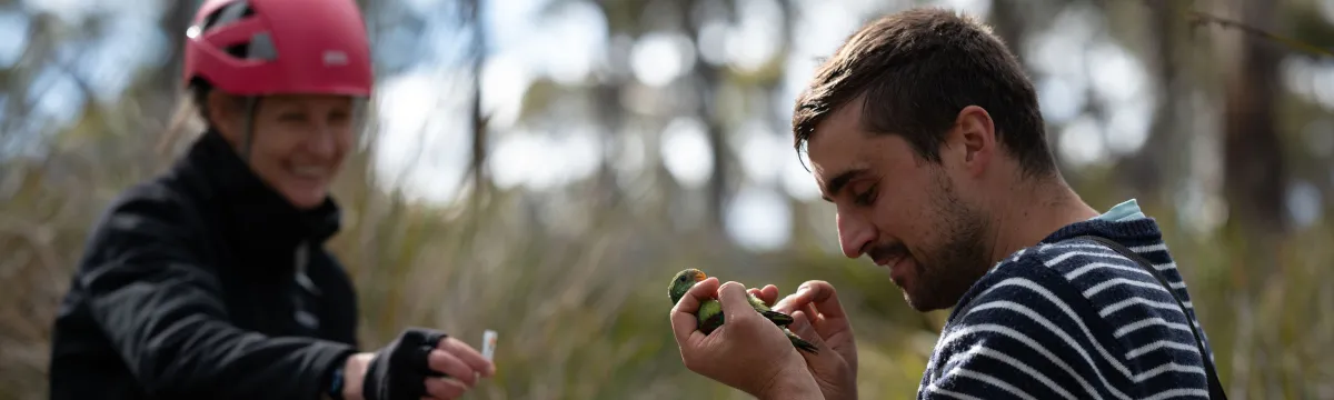 Two researchers doing field work on a forest floor in Tasmania.
