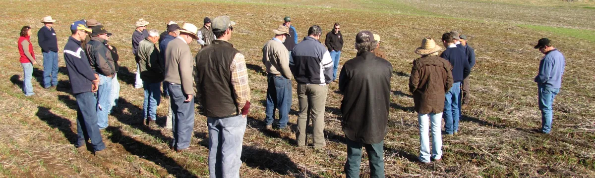 A group of people stand in a furrowed paddock.