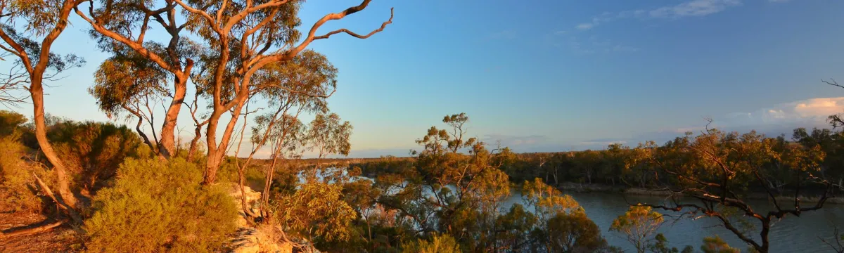 Sunset at the river bank