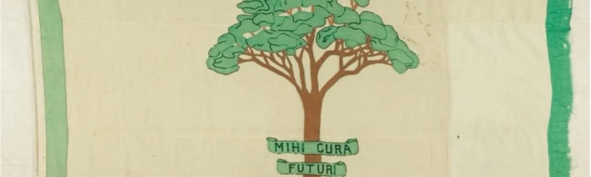 An illustration of a tree with a banner of text over the top that reads Mihi Cura Futuri