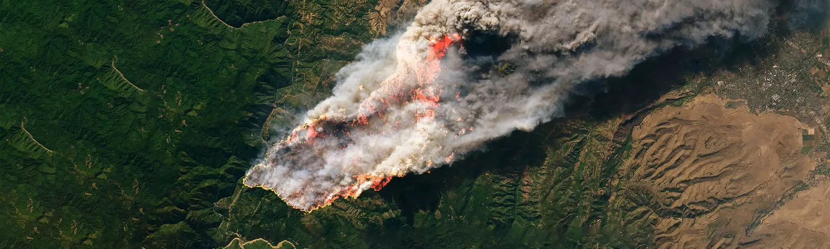A satellite image of a fire sweeping across a forested landscape.