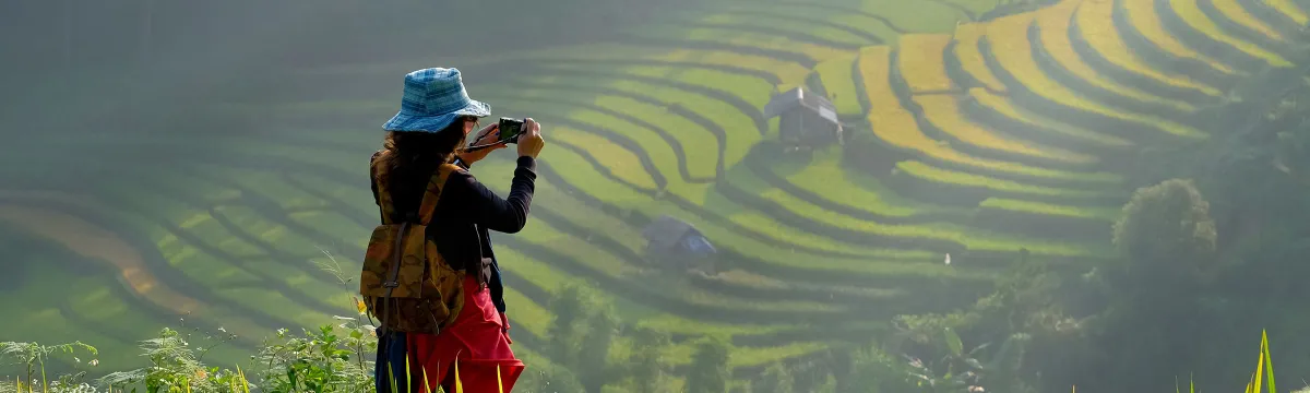 A person in the foreground, wearing a blue hat and backpack, takes a photo with her phone of a sloping, green rice paddy.