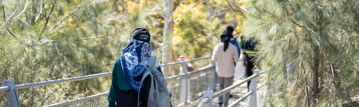 A student walks along a board walk among trees.