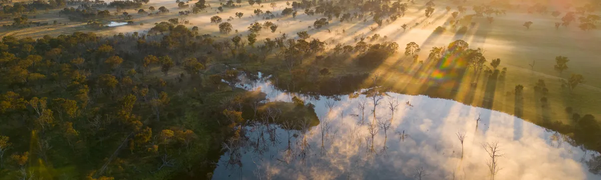Mulligans Flat Woodland Sanctuary from the air at dawn.