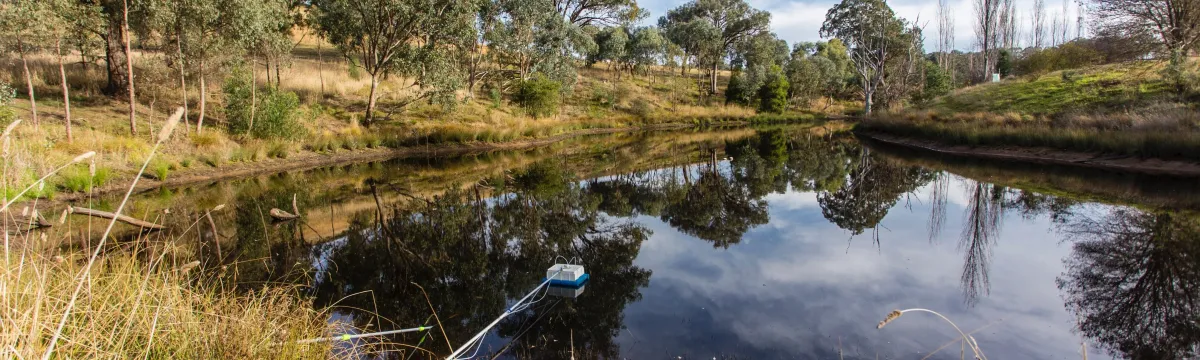 A serene rural dam with still, dark water reflecting a blue sky and scattered white clouds. The bank in the foreground is edged with dry grasses and reeds, and contains a plastic crate holding a yellow portable pump hooked up by hoses to a floating sampling device resting on the water. On the opposite shore, gently sloping pasture is dotted with eucalyptus and other native trees under a partly cloudy sky