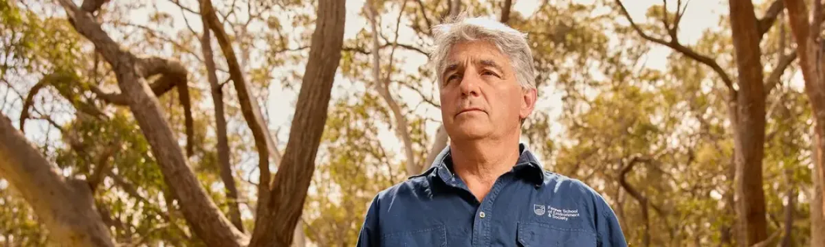 Researcher David Lindemayer stands in a forest.