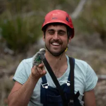 A researcher holds a superb parrot chick on his finger and smiles. He is wearing a red safety helmet.