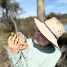 Annie Kriesl holds two baby parrots/